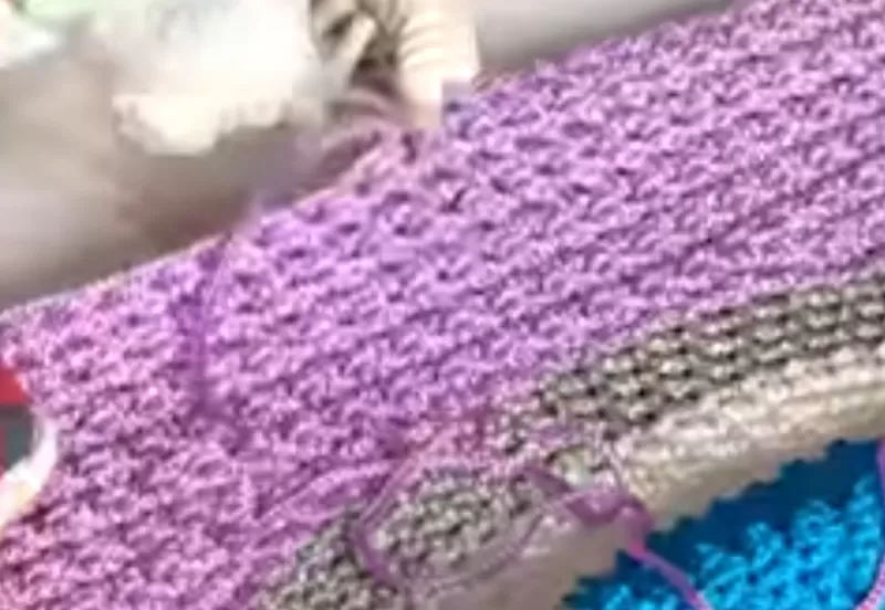 Handmade Rope Nets: Where Craftsmanship Meets Childhood Magic