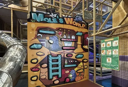Hamster Home Climbing Wall