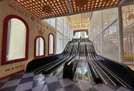Thrill Speed Slide